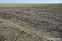 VBS_7687 - Andare lontano, oltre i campi da arare... e ancora più in là